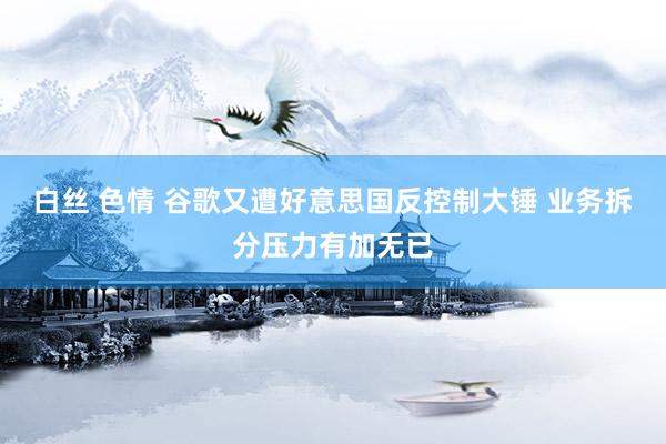 白丝 色情 谷歌又遭好意思国反控制大锤 业务拆分压力有加无已