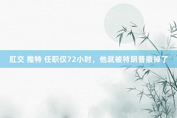 肛交 推特 任职仅72小时，他就被特朗普撤掉了